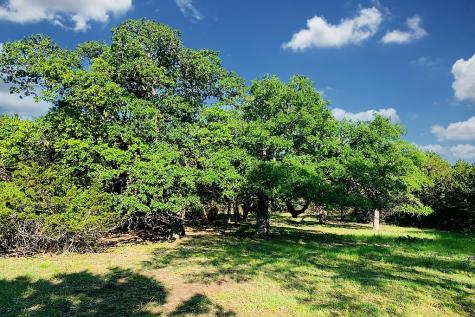 118 S Vaquero Drive Blanco TX 78606