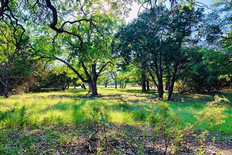 118 S Vaquero Drive Blanco TX 78606