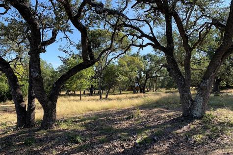 118 S Vaquero Drive Blanco TX 78606