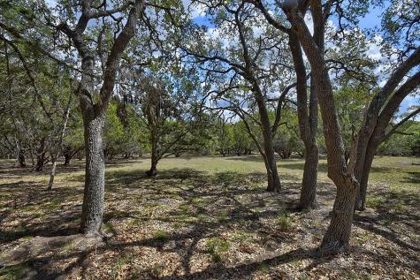 118 S Vaquero Drive Blanco TX 78606