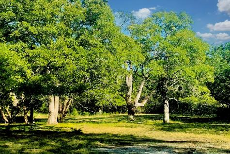 118 S Vaquero Drive Blanco TX 78606