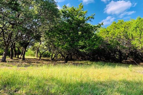118 S Vaquero Drive Blanco TX 78606