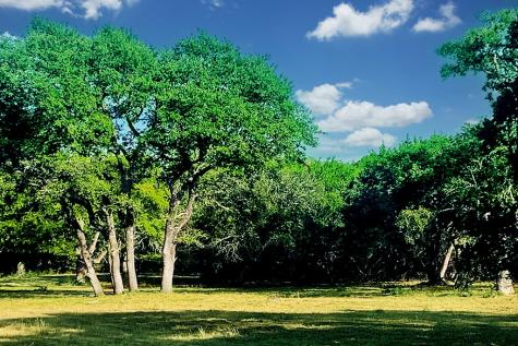 118 S Vaquero Drive Blanco TX 78606
