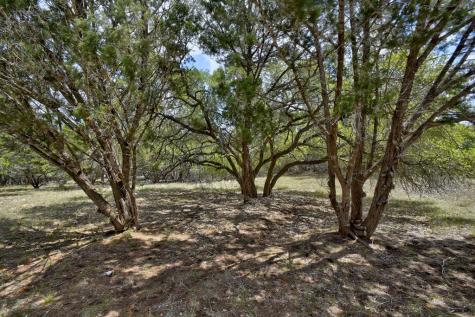 118 S Vaquero Drive Blanco TX 78606