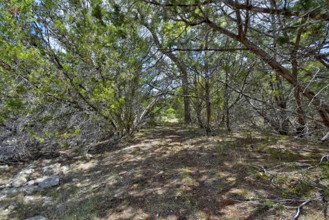 118 S Vaquero Drive Blanco TX 78606