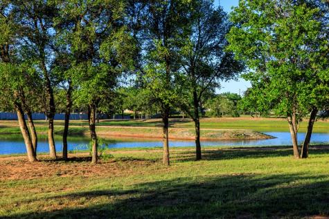 234 Interlaken Street Fredericksburg TX 78624
