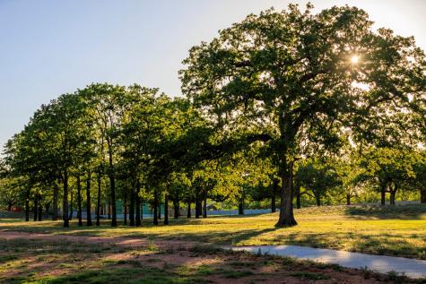 234 Interlaken Street Fredericksburg TX 78624