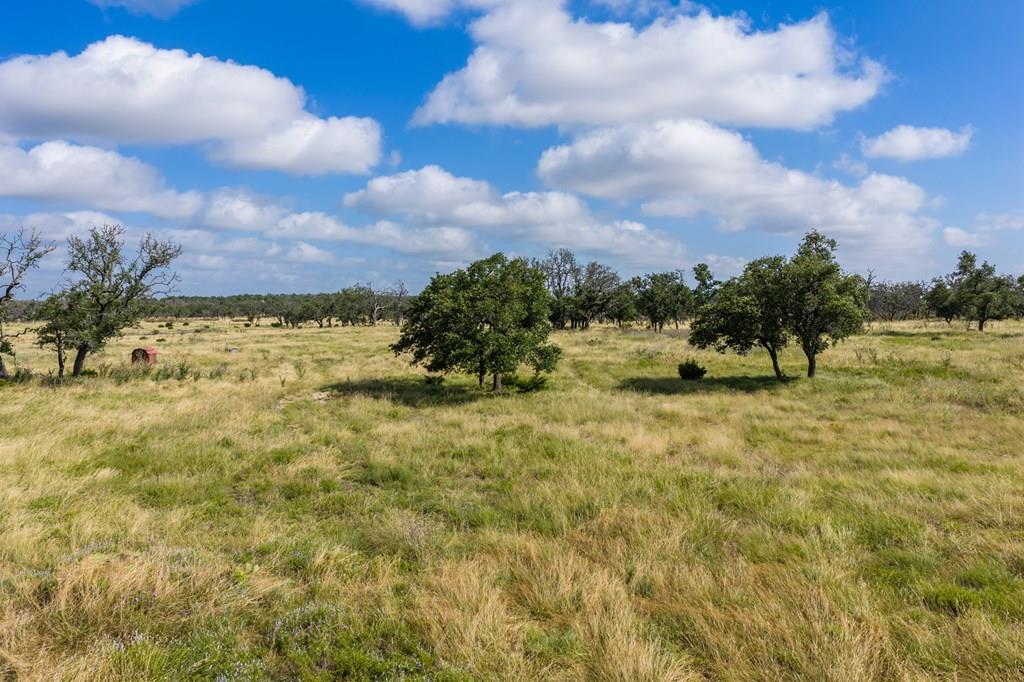 436 Stevens Ranch Road Harper TX 78631