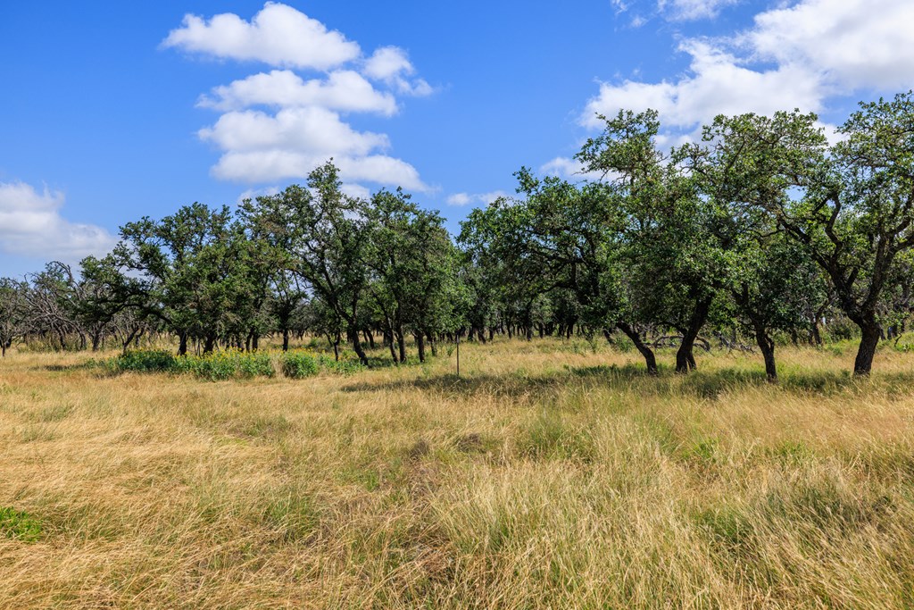 436 Stevens Ranch Road Harper TX 78631