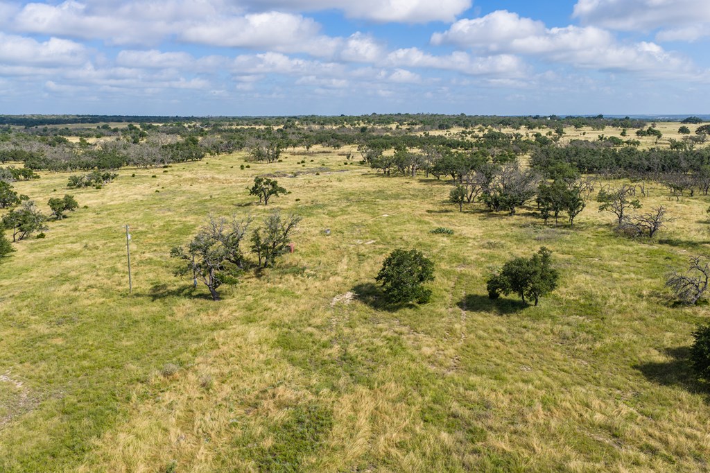 436 Stevens Ranch Road Harper TX 78631