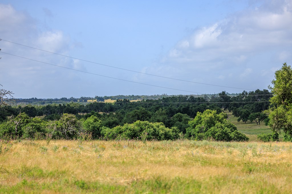 436 Stevens Ranch Road Harper TX 78631