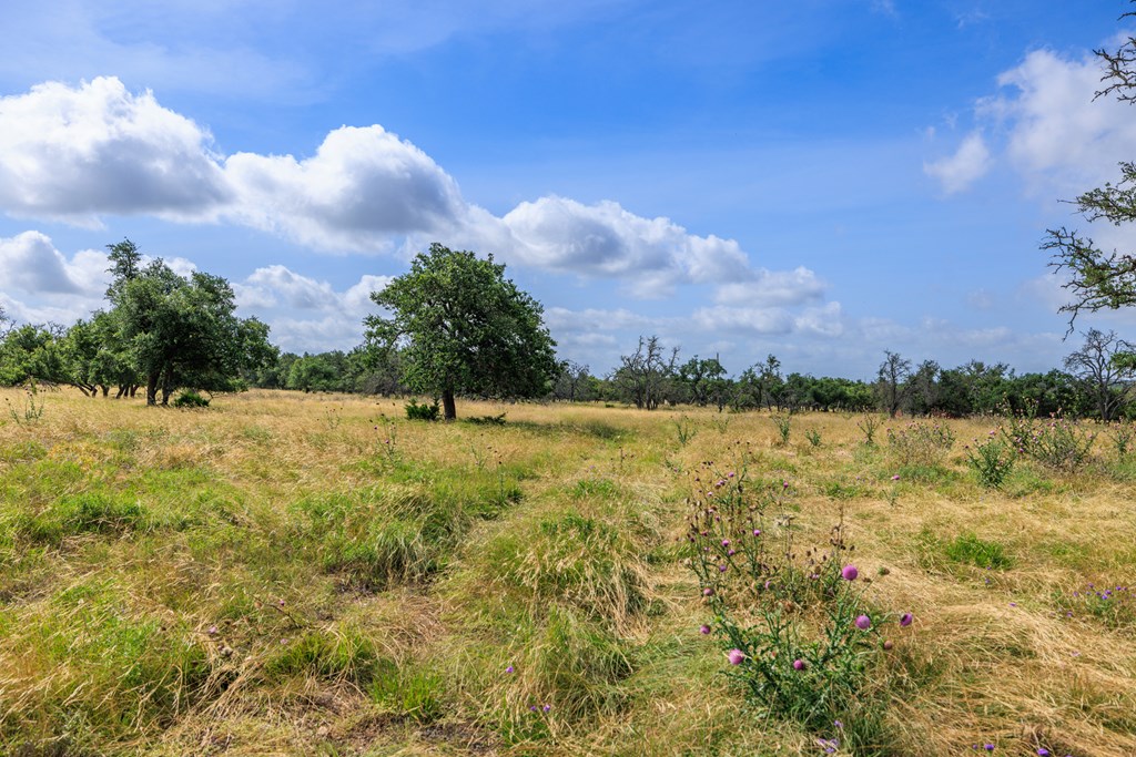 436 Stevens Ranch Road Harper TX 78631