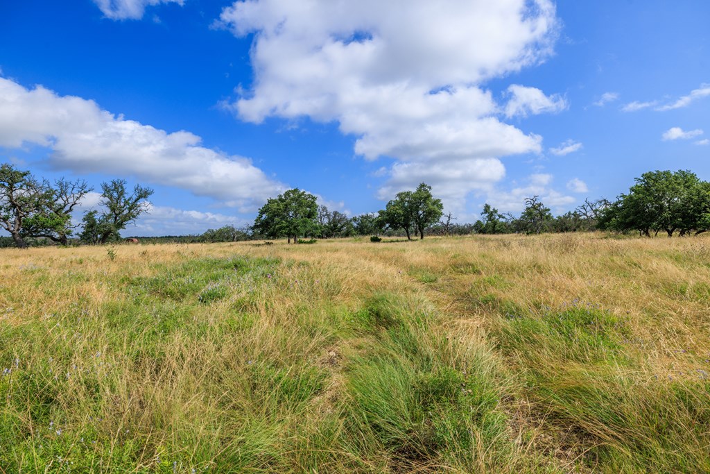 436 Stevens Ranch Road Harper TX 78631