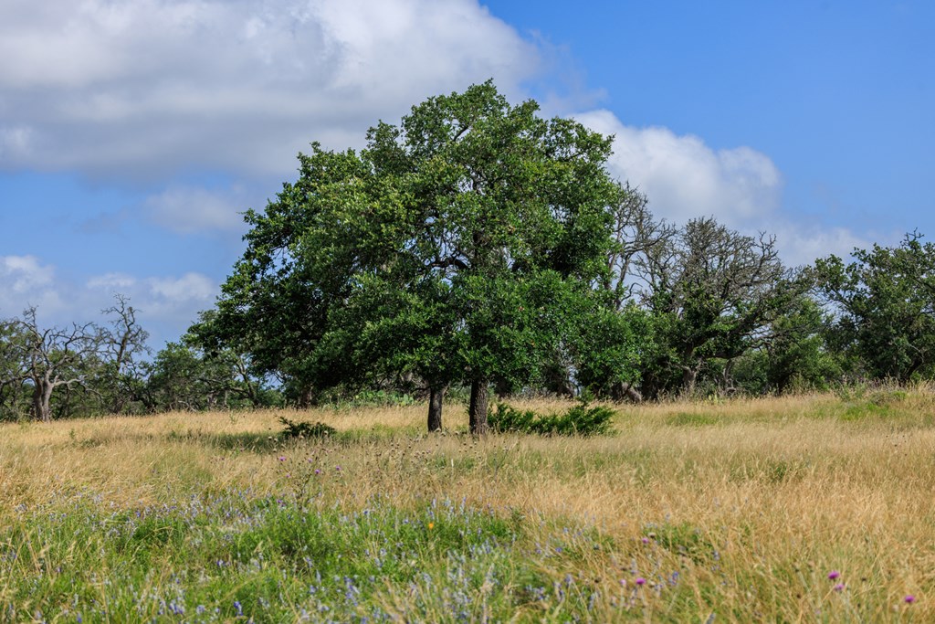 436 Stevens Ranch Road Harper TX 78631