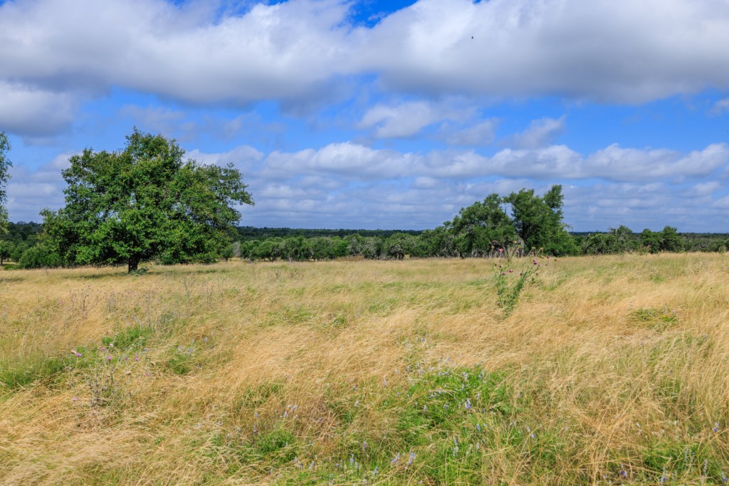 436 Stevens Ranch Road Harper TX 78631