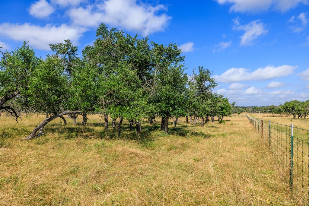 436 Stevens Ranch Road Harper TX 78631