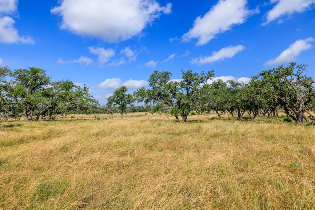 436 Stevens Ranch Road Harper TX 78631