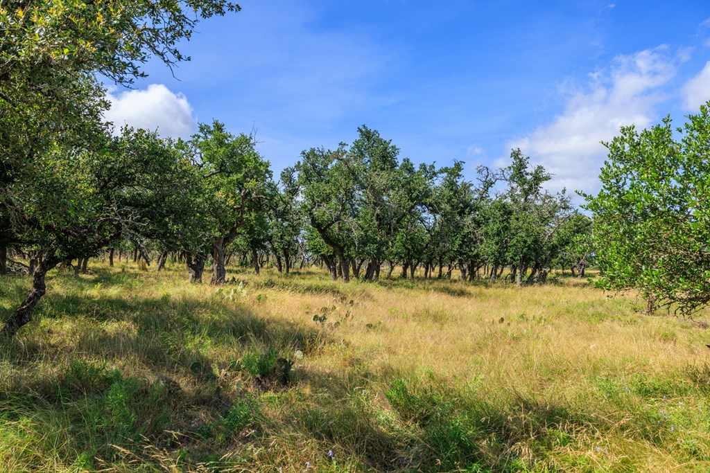 436 Stevens Ranch Road Harper TX 78631
