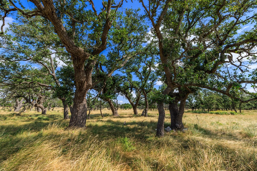 436 Stevens Ranch Road Harper TX 78631