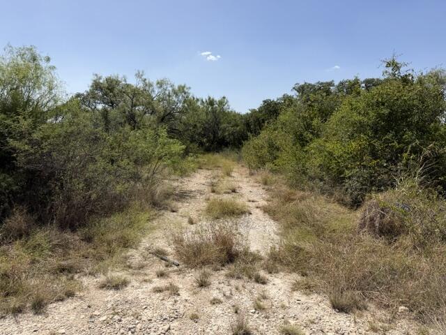 1-4, 5-6 North Grant Brady TX 76825