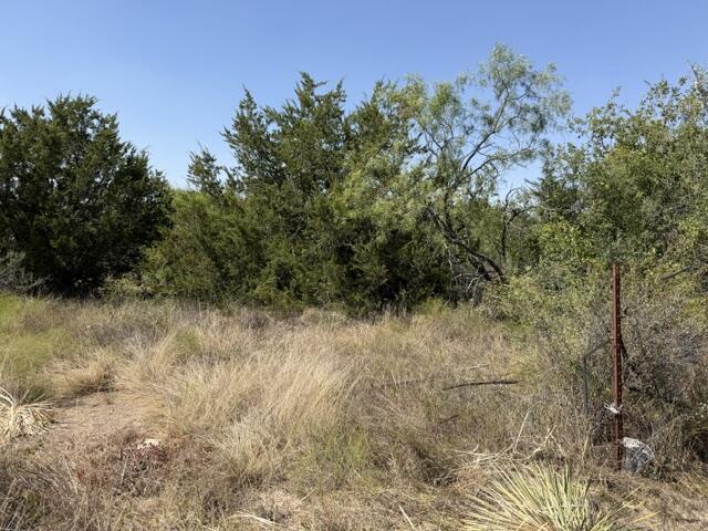 1-4, 5-6 North Grant Brady TX 76825