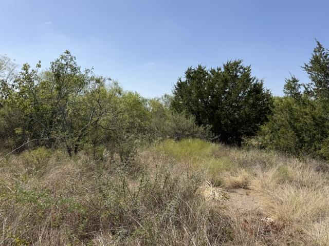 1-4, 5-6 North Grant Brady TX 76825