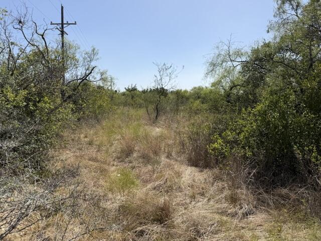1-4, 5-6 North Grant Brady TX 76825