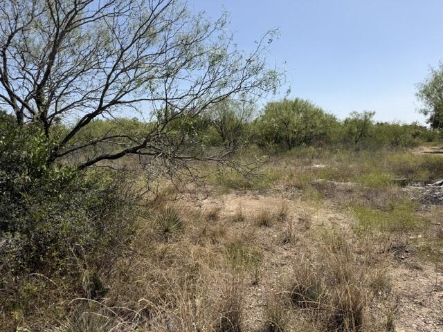 1-4, 5-6 North Grant Brady TX 76825