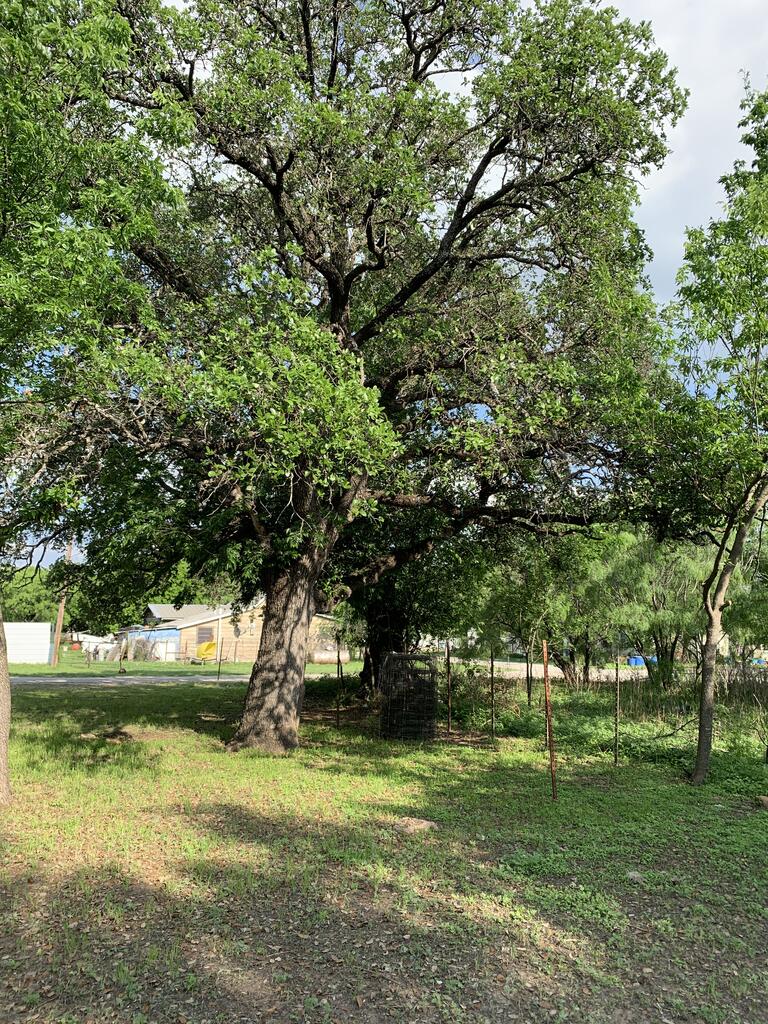 1308 S Melville Brady TX 76825