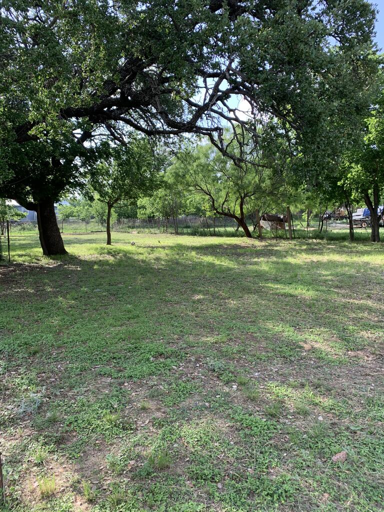 1308 S Melville Brady TX 76825