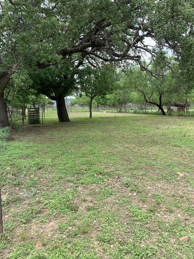 1308 S Melville Brady TX 76825