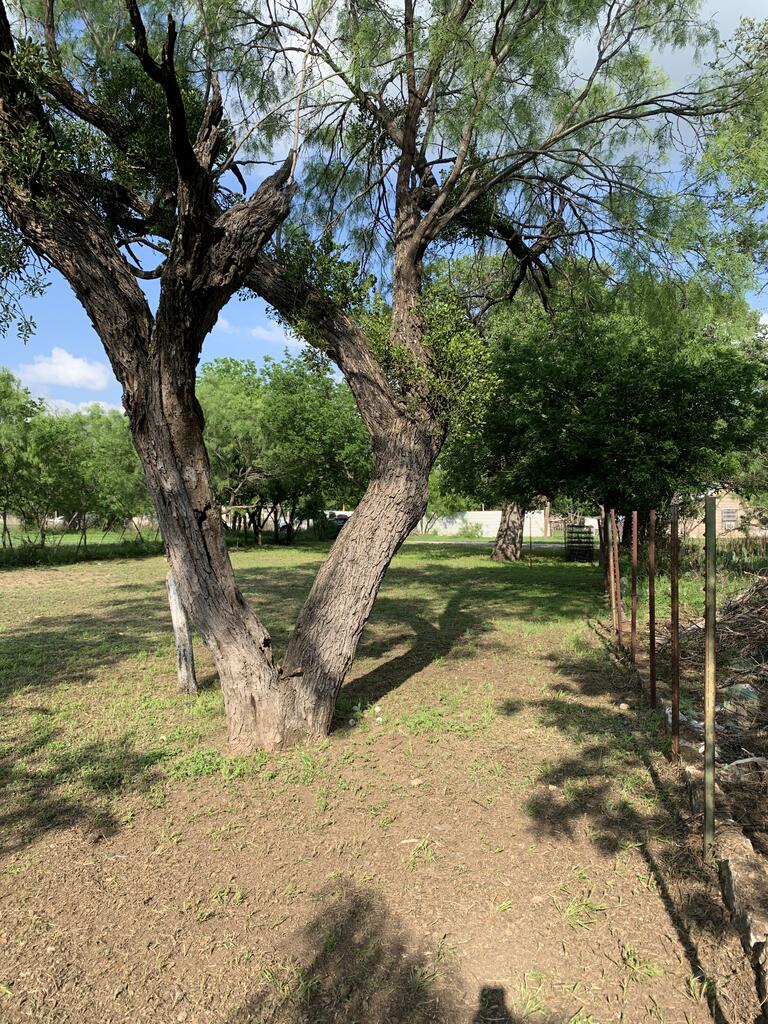 1308 S Melville Brady TX 76825
