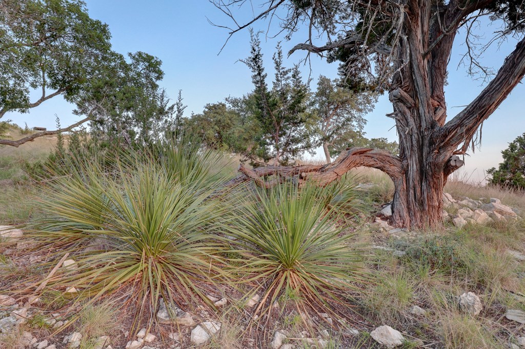 189 Cherry Springs Road Hunt TX 78024
