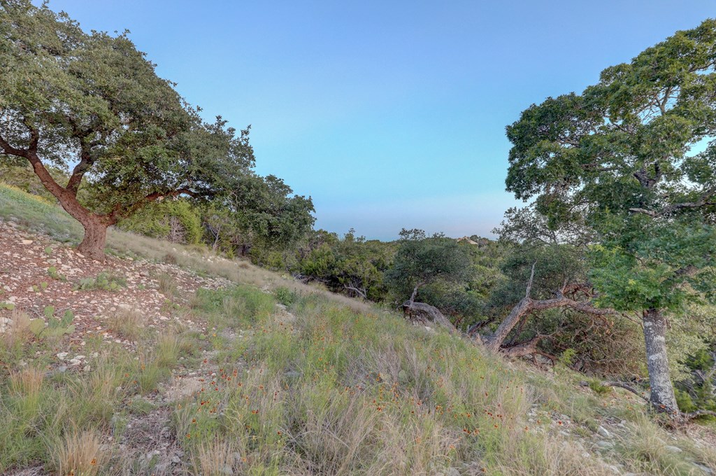 189 Cherry Springs Road Hunt TX 78024