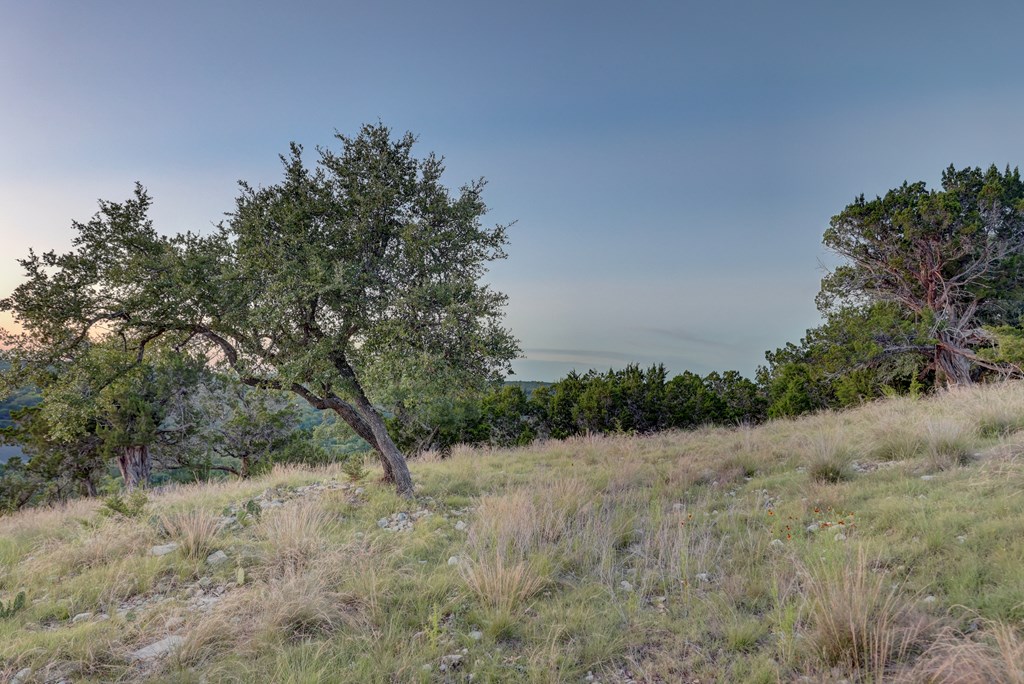 189 Cherry Springs Road Hunt TX 78024