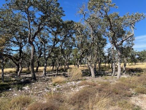 Tract 16 Rare Eagle Drive Fredericksburg TX 78624