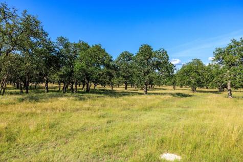 11470 N Us Highway 87 Fredericksburg TX 78624