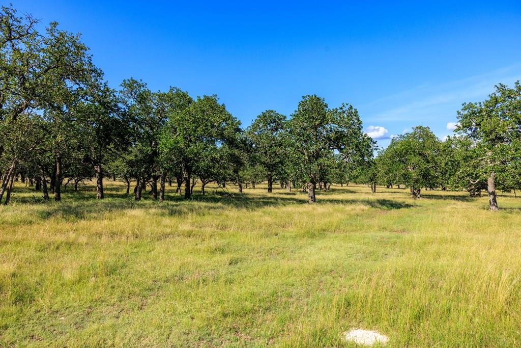 11470 N Us Highway 87 Fredericksburg TX 78624
