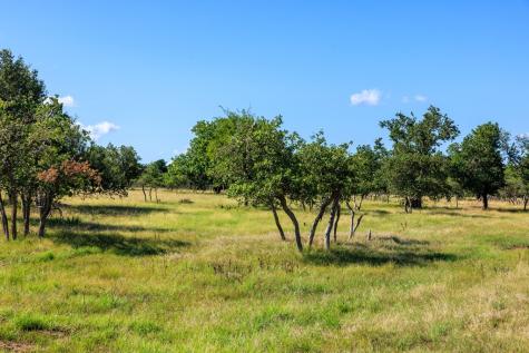11470 N Us Highway 87 Fredericksburg TX 78624