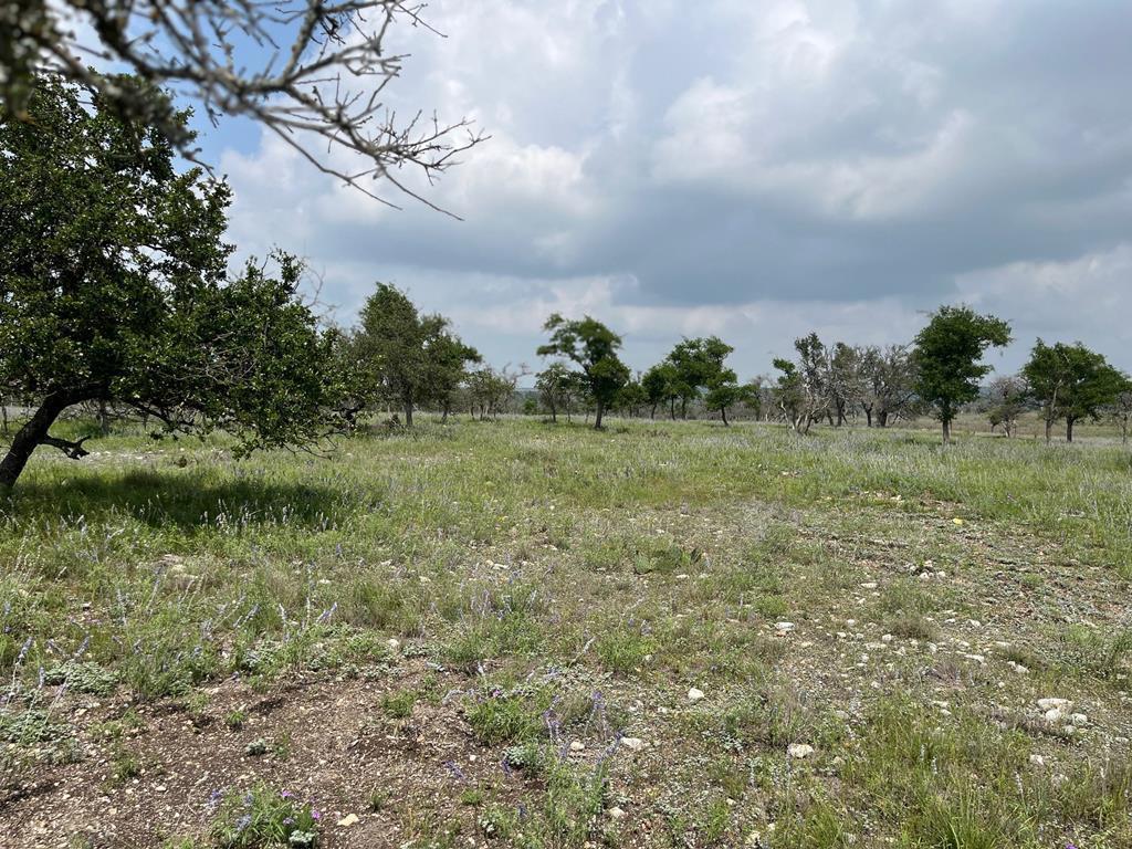 Lot 9 Sweet Wind Lane Harper TX 78631