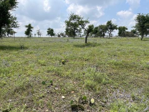 Lot 9 Sweet Wind Lane Harper TX 78631