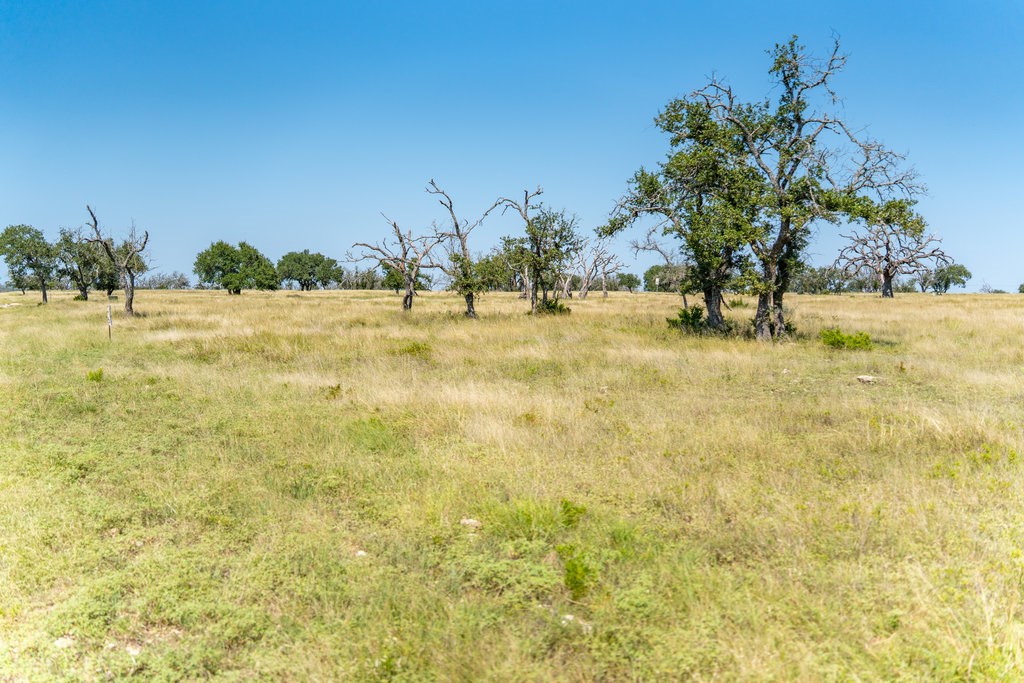 Lot 100 Packsaddle Drive Harper TX 78631