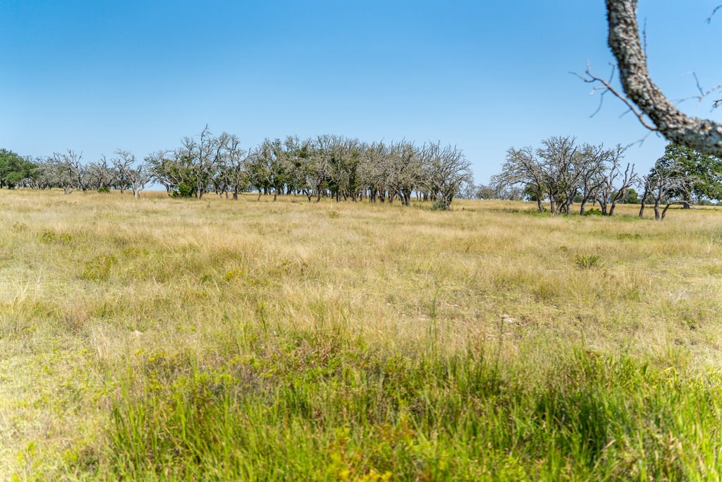 Lot 100 Packsaddle Drive Harper TX 78631