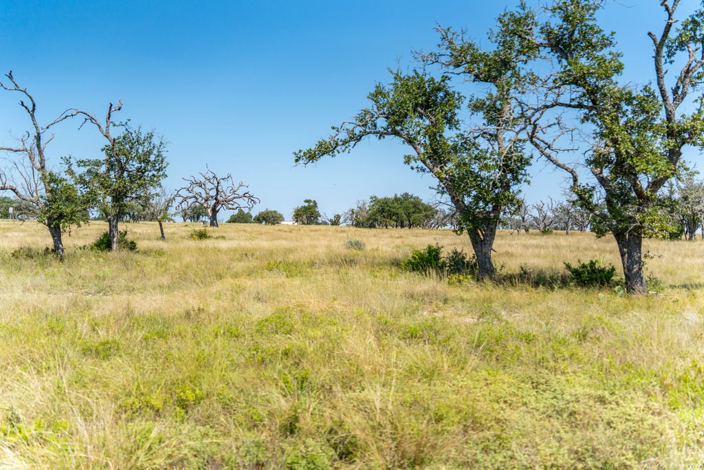 Lot 100 Packsaddle Drive Harper TX 78631