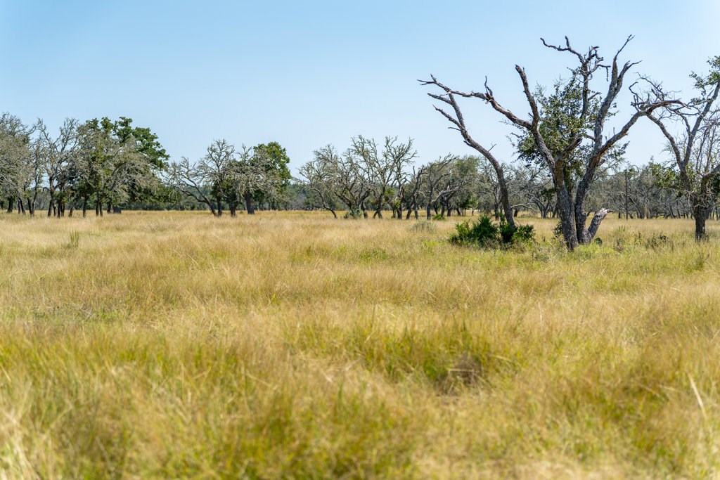 Lot 100 Packsaddle Drive Harper TX 78631