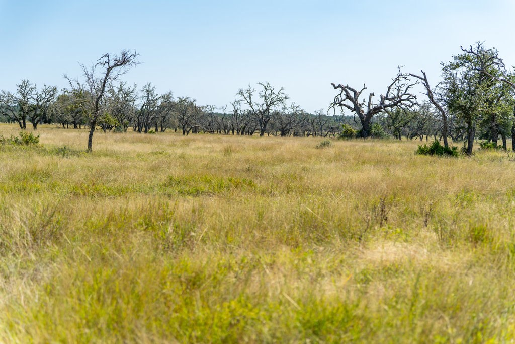 Lot 100 Packsaddle Drive Harper TX 78631