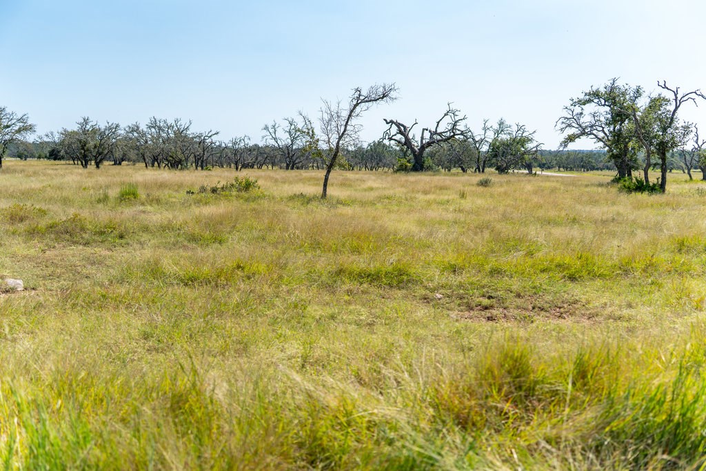 Lot 100 Packsaddle Drive Harper TX 78631