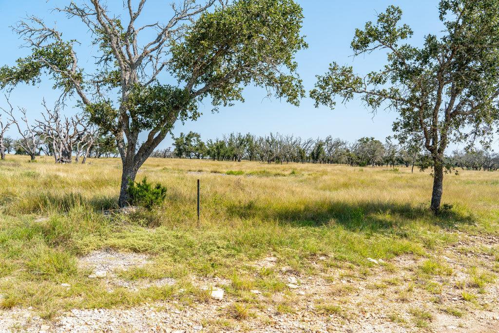 Lot 100 Packsaddle Drive Harper TX 78631