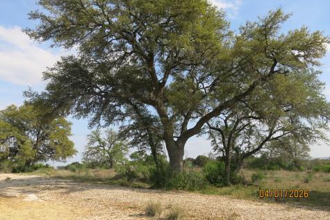 1 Fm 2093 Fredericksburg TX 78624