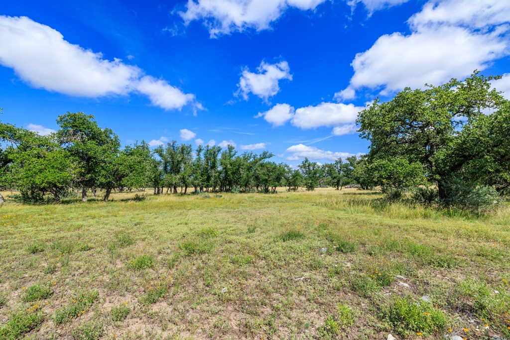 Lot 94 Stock Pond Drive Harper TX 78631